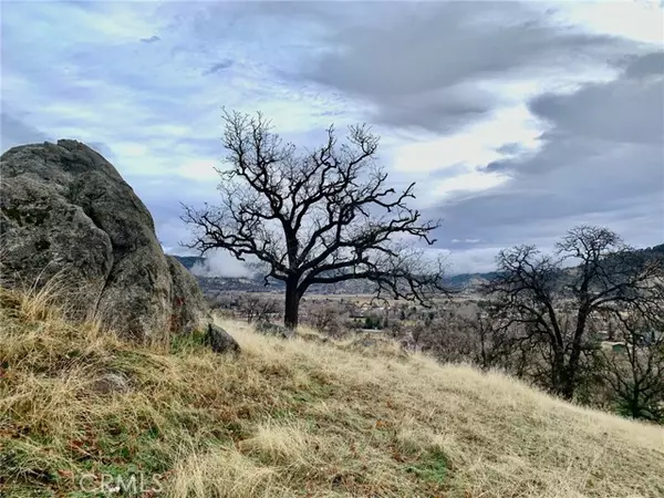 Tehachapi, CA 93561,0 Parke