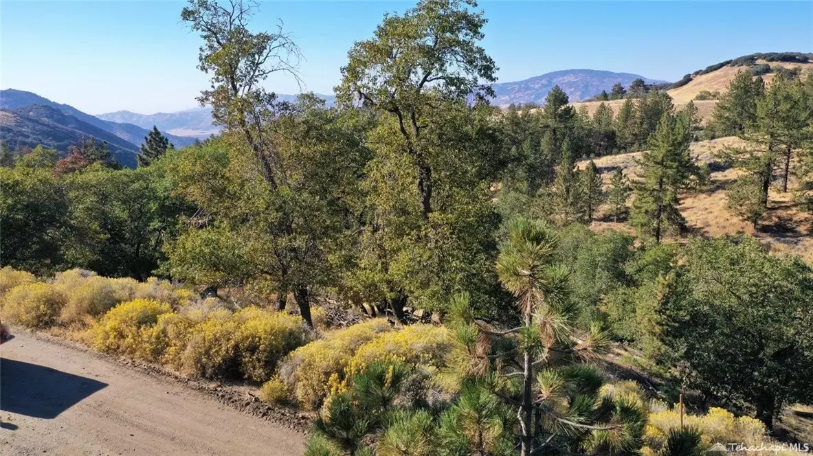 Tehachapi, CA 93561,16851 Interlaken