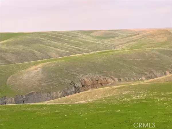 Santa Margarita, CA 93453,7390 Cattle