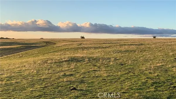 Santa Margarita, CA 93453,7390 Cattle