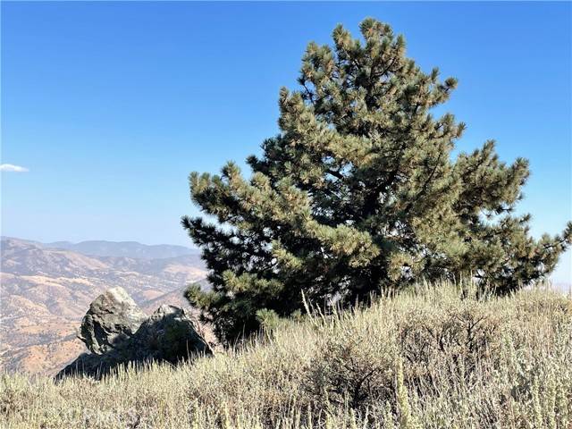 Tehachapi, CA 93561,25610 Jacaranda