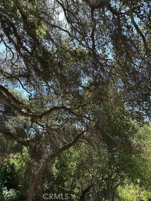 Santa Maria, CA 93455,5400 Stillwell #1/2