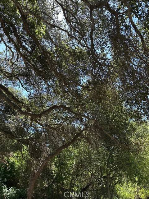 Santa Maria, CA 93455,5400 Stillwell #1/2