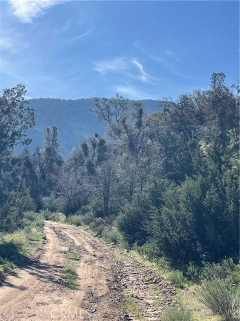 Caliente, CA 93518,0 Back Canyon Road