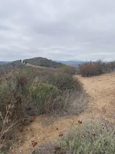 Jamul, CA 91935,Alta Loma