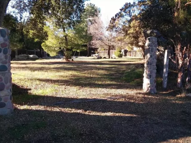 Campo, CA 91906,Gladiola