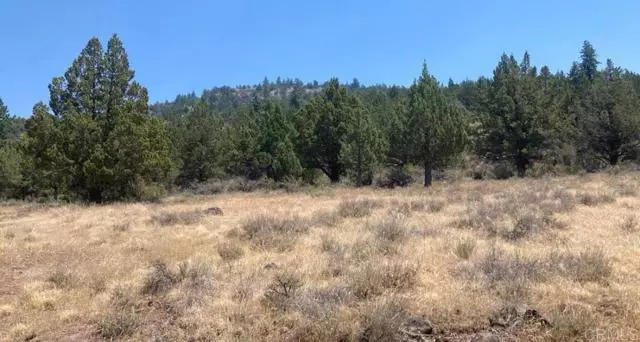 0 Glacier Dr Lot 12, Alturas, CA 96101