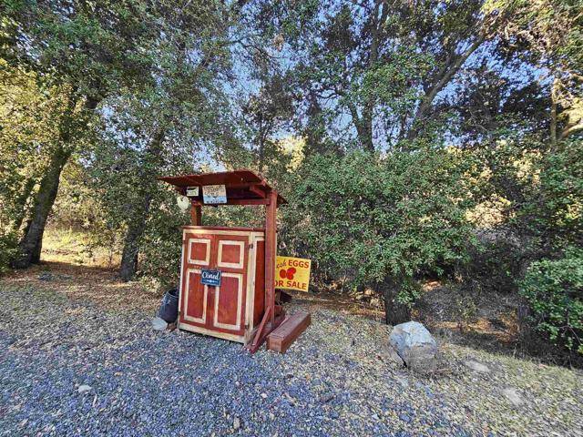 24248 Viejas Grade, Descanso, CA 91916