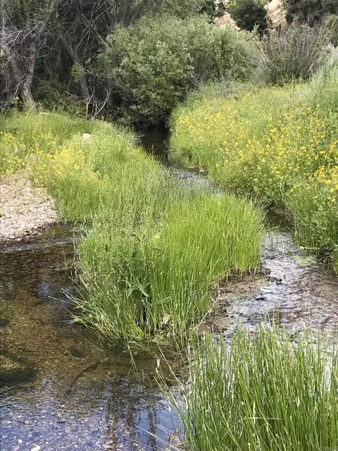 Mount Laguna, CA 91948,752 Boiling Springs