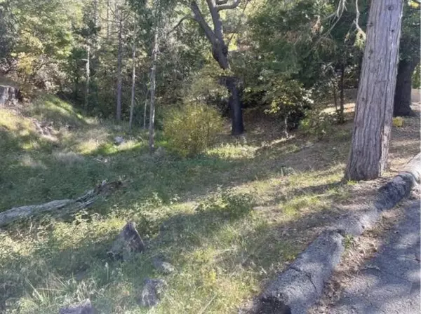 Lake Arrowhead, CA 92352,0 Deer