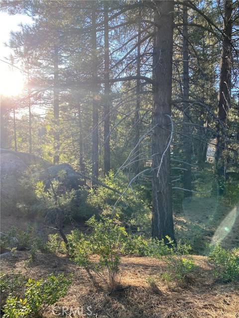 0 Cienega Road, Big Bear, CA 92315