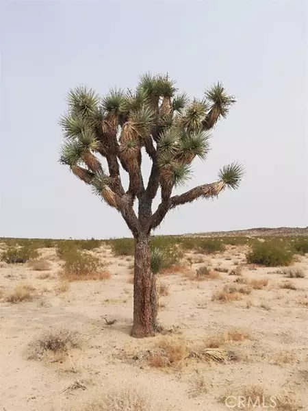 0 La Brisa/Sunfair, Joshua Tree, CA 92252