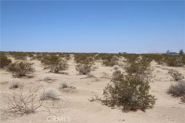 29 Palms, CA 92277,0 Mesa