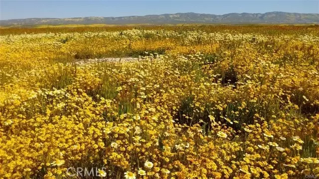 California Valley, CA 93453,0 Atolia - A