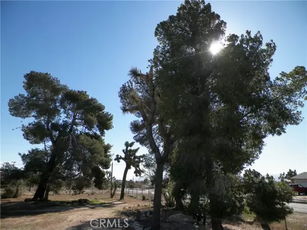 Yucca Valley, CA 92284,58574 Buena Vista Drive