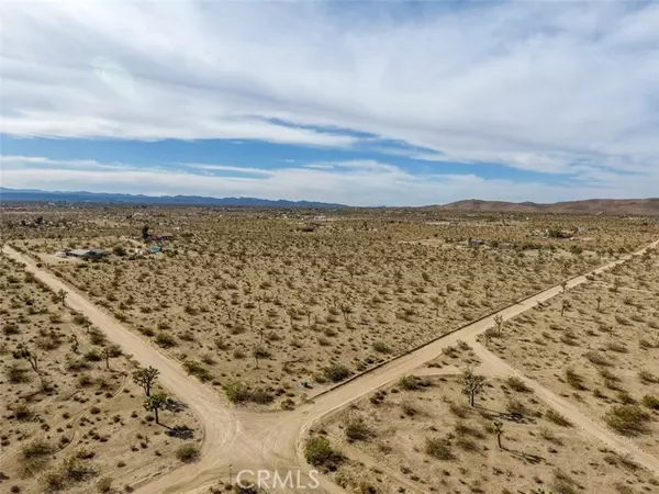 Yucca Valley, CA 92284,59970 Campanula