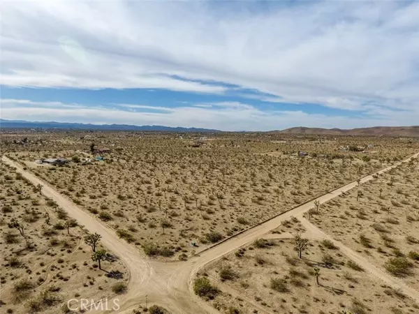 Yucca Valley, CA 92284,59970 Campanula