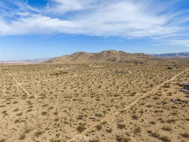 Yucca Valley, CA 92284,59970 Campanula