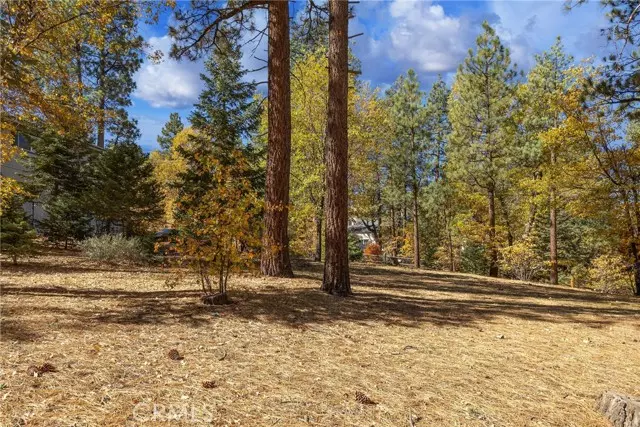 Big Bear Lake, CA 92315,0 Ford