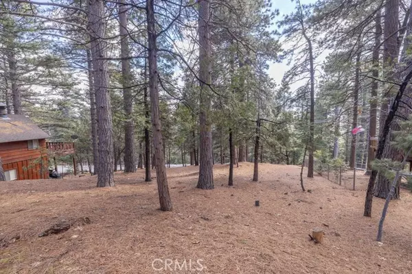 Running Springs, CA 92382,0 Circle View