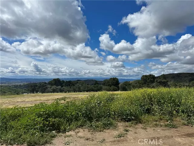 Kagel Canyon, CA 91342,11242 Barca DR