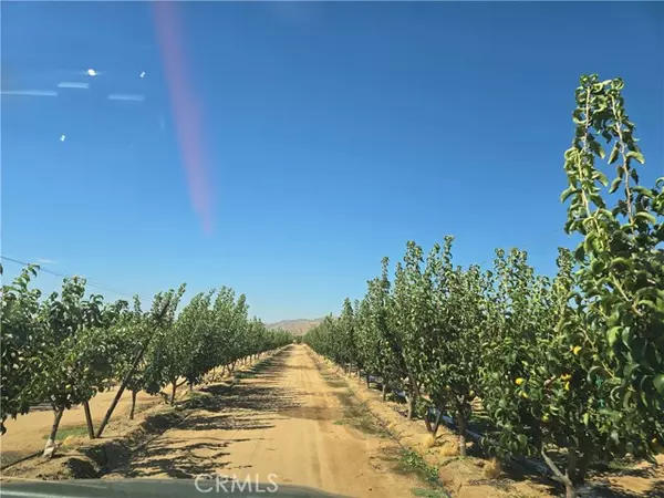 Apple Valley, CA 92307,24055 Ottawa