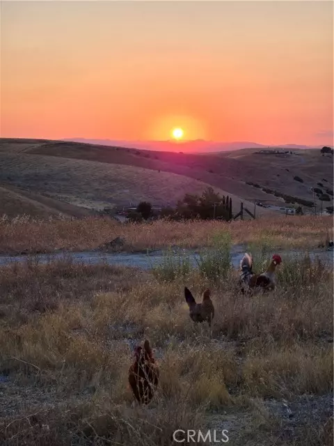 Paso Robles, CA 93446,0 Yosemite