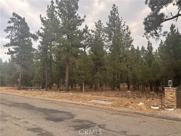 Big Bear City, CA 92314,0 Appaloosa