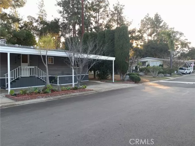 Escondido, CA 92029,1751 CITRICADO