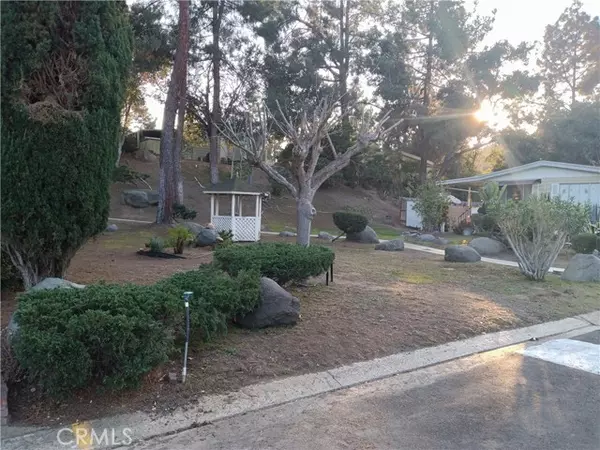 Escondido, CA 92029,1751 CITRICADO