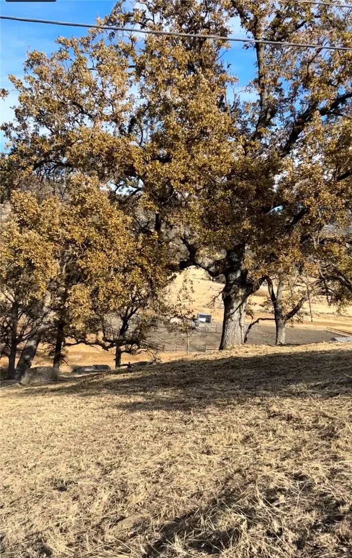 Tehachapi, CA 93561,23840 Dart