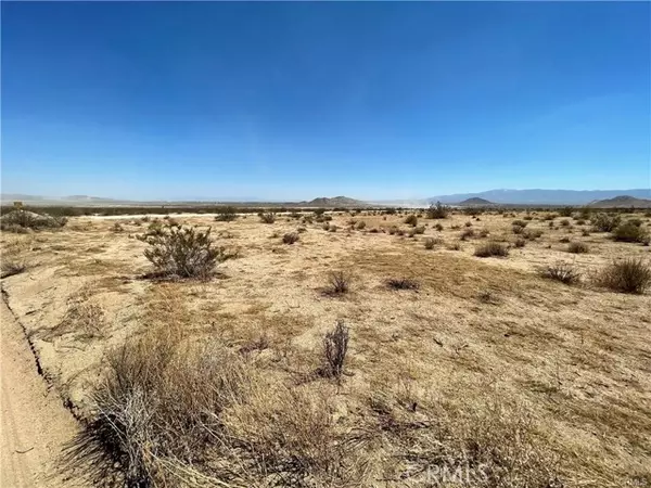 Adelanto, CA 92301,0 Desert Flower