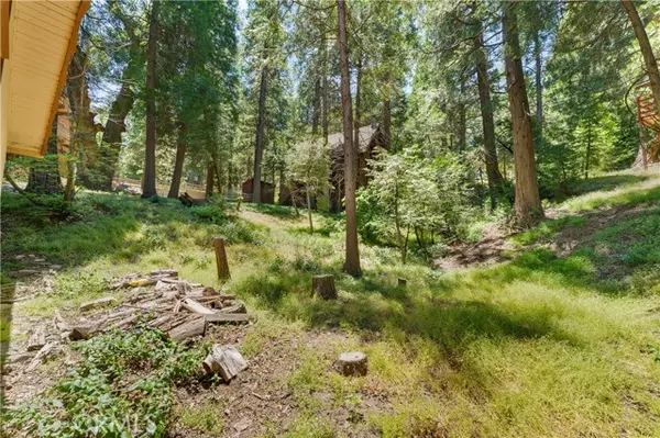 Crestline, CA 92325,24657 Bernard Drive