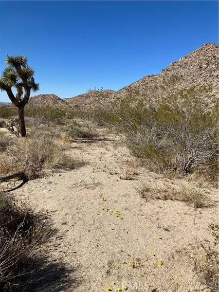 0 Anaconda Dr., Joshua Tree, CA 92252