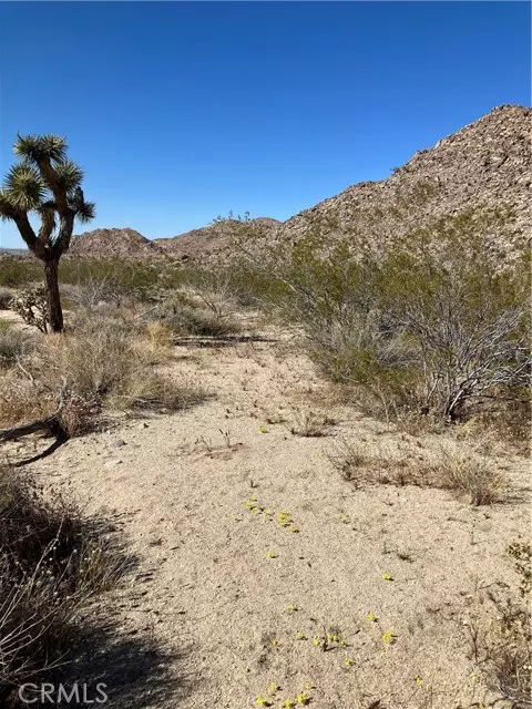 0 Anaconda Dr., Joshua Tree, CA 92252