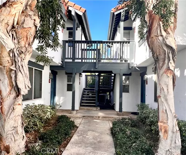 Rancho Santa Margarita, CA 92688,13 Aubrieta