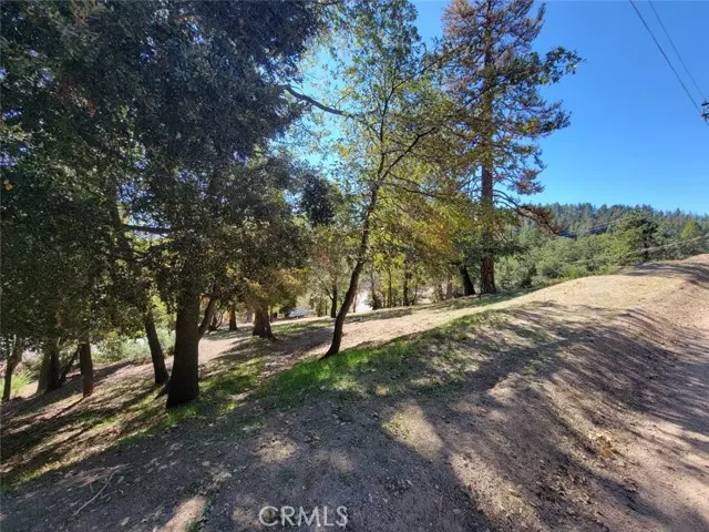 Crestline, CA 92322,0 Whispering Pines