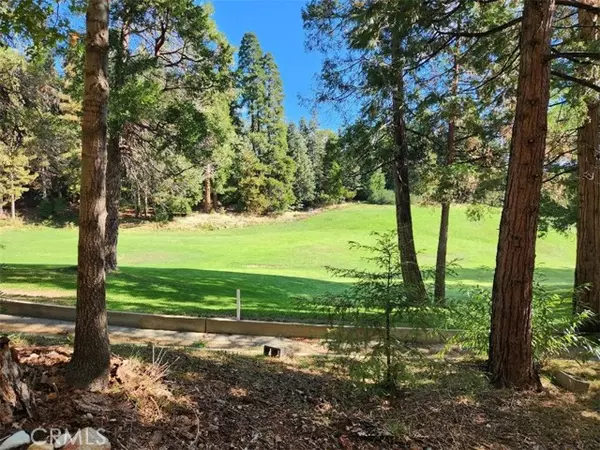 Lake Arrowhead, CA 92352,0 N Fairway