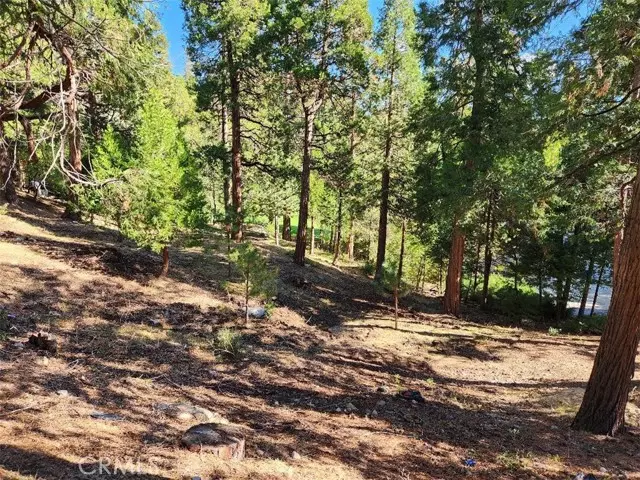 Lake Arrowhead, CA 92352,0 N Fairway