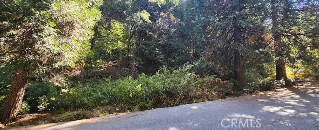 Lake Arrowhead, CA 92385,0 Maple