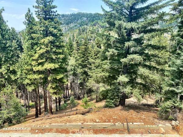 2361 Deep Creek, Running Springs, CA 92382