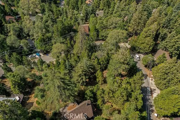 Lake Arrowhead, CA 92352,0 Grizzly