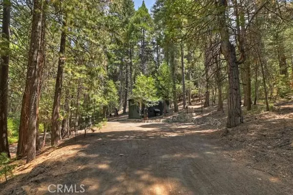 Lake Arrowhead, CA 92317,343 Cedar Court