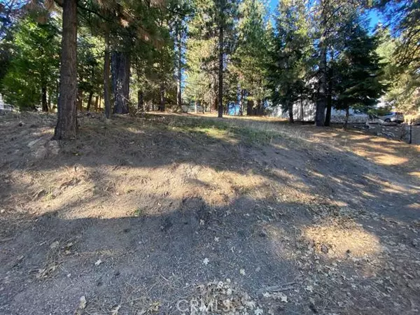 0 Wilderness, Running Springs, CA 92382