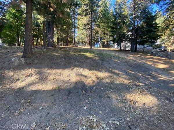 0 Wilderness, Running Springs, CA 92382