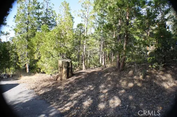 Lake Arrowhead, CA 92352,0 Grass Valley