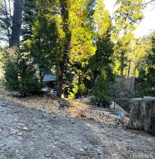 Lake Arrowhead, CA 92352,0 E Lane