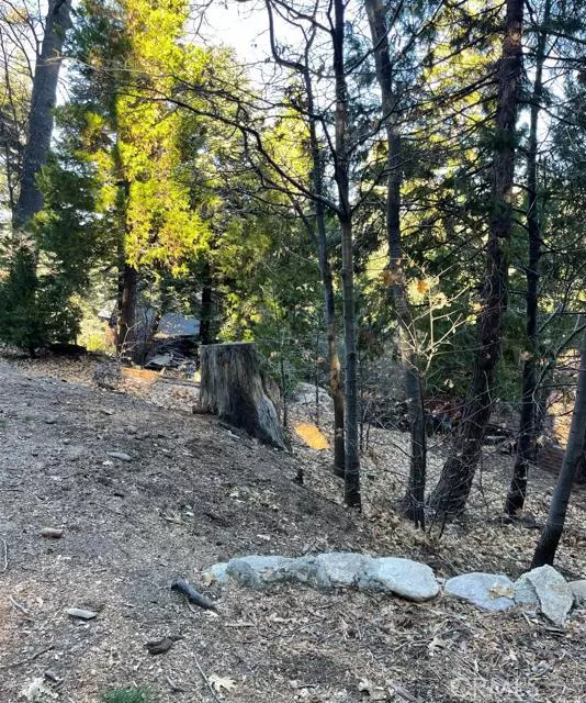 Lake Arrowhead, CA 92352,0 E Lane