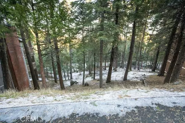 Crestline, CA 92325,0 Bernard