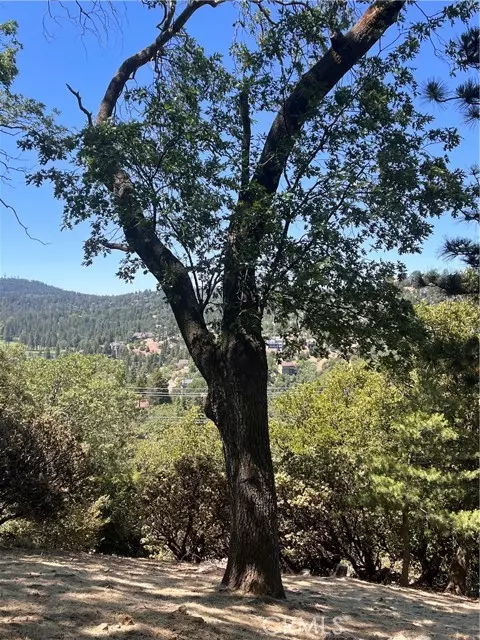 Lake Arrowhead, CA 92352,0 Grass Valley